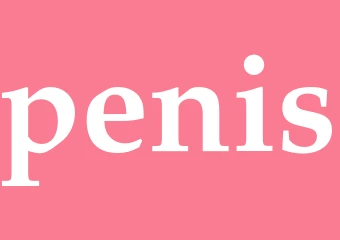Synonym penis