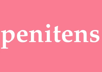 Synonym penitens