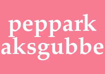 Synonym pepparkaksgubbe