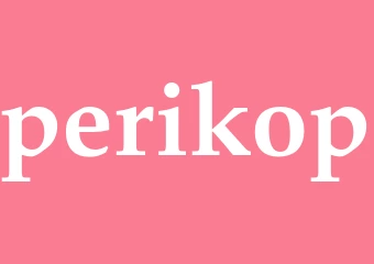 Synonym perikop