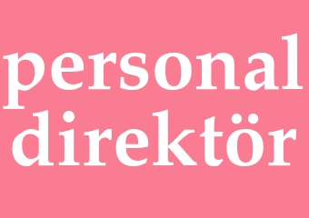 Synonym personaldirektör