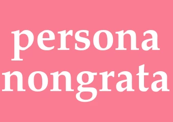 Synonym personanongrata