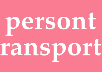 Synonym persontransport