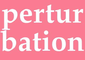 Synonym perturbation