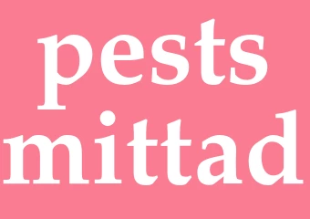 Synonym pestsmittad