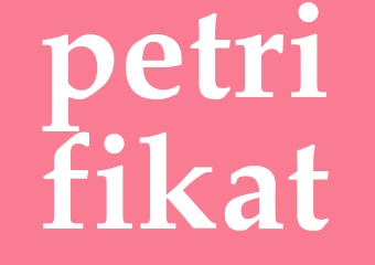 Synonym petrifikat
