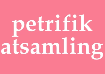 Synonym petrifikatsamling