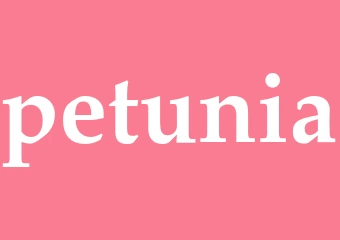 Synonym petunia