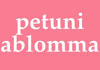 Synonym petuniablomma
