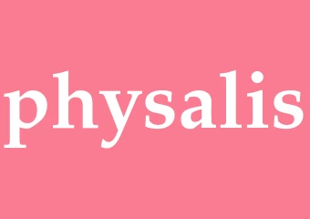Synonym physalis