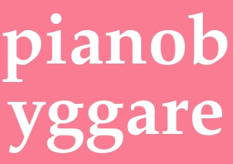Synonym pianobyggare