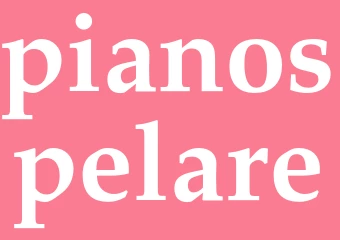 Synonym pianospelare
