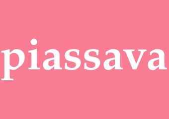 Synonym piassava