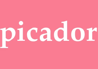 Synonym picador