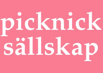 Synonym picknicksällskap