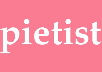 Synonym pietist