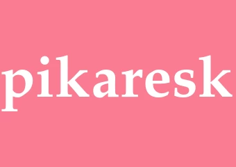 Synonym pikaresk