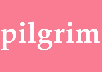 Synonym pilgrim