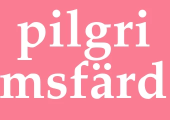 Synonym pilgrimsfärd