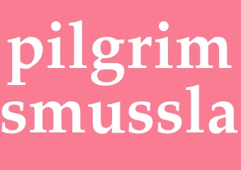 Synonym pilgrimsmussla