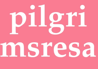 Synonym pilgrimsresa