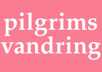 Synonym pilgrimsvandring