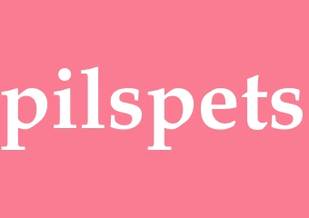 Synonym pilspets