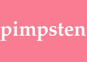 Synonym pimpsten