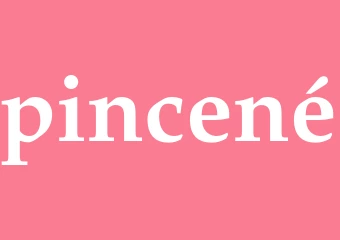 Synonym pincené
