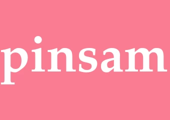 Synonym pinsam