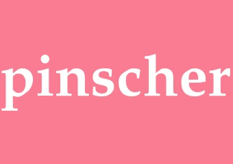 Synonym pinscher