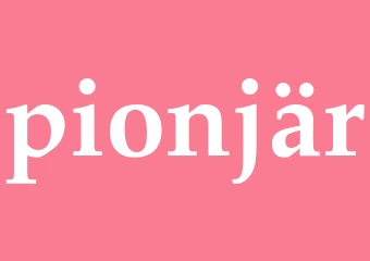 Synonym pionjär