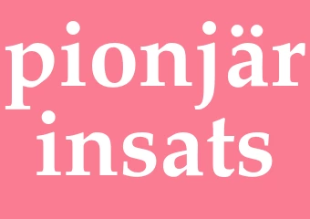 Synonym pionjärinsats