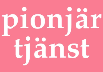 Synonym pionjärtjänst