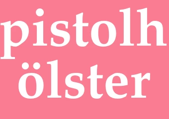 Synonym pistolhölster