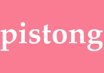 Synonym pistong