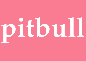 Synonym pitbull