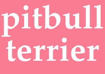 Synonym pitbullterrier