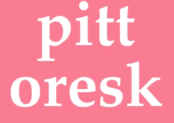 Synonym pittoresk