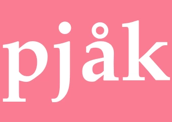 Synonym pjåk