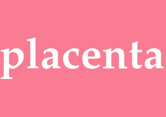 Synonym placenta