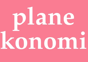 Synonym planekonomi