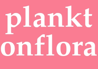 Synonym planktonflora