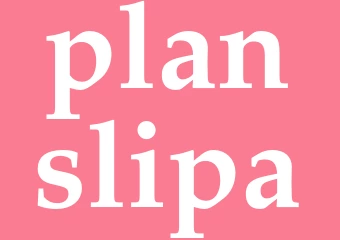 Synonym planslipa