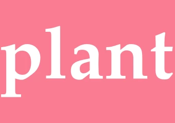 Synonym plant