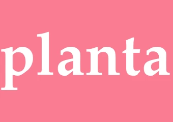 Synonym planta