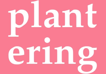 Synonym plantering