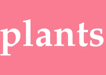 Synonym plants