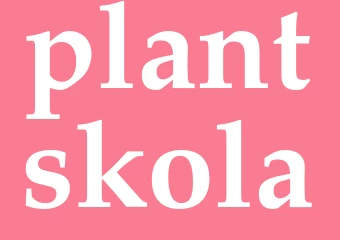 Synonym plantskola