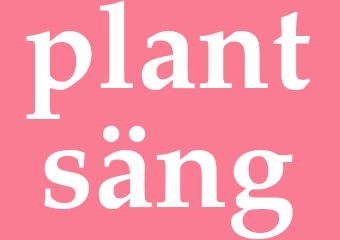 Synonym plantsäng